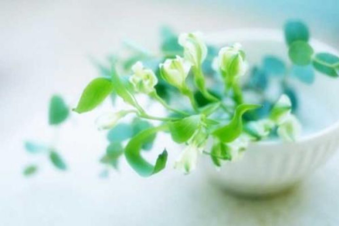 成语英语翻译大全简短,用英文翻译的中国成语