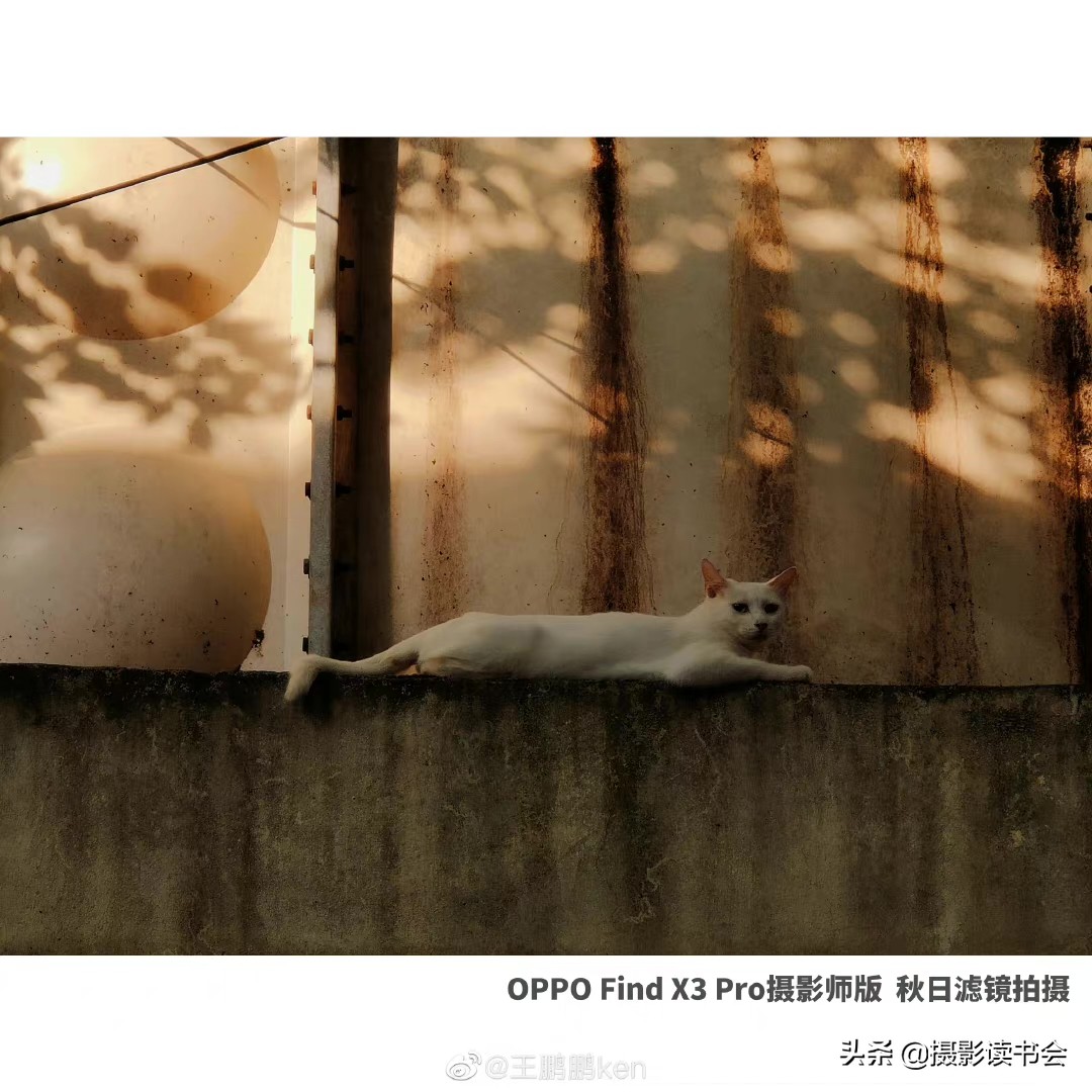 张艺谋被严重低估的一部作品,张艺谋拍电影到底有多厉害