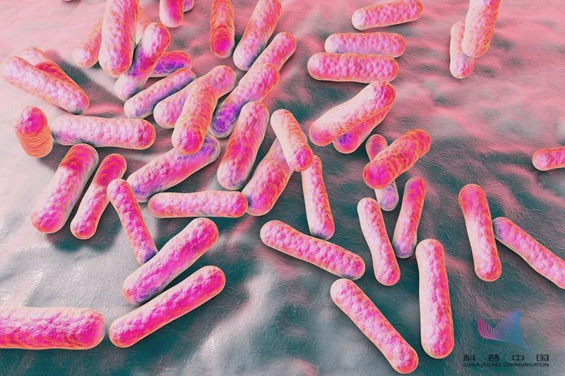 后背长小疙瘩的原因和解决方法,后背有疙瘩怎么去除