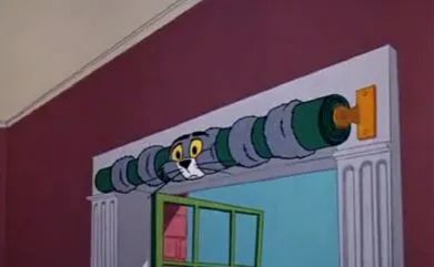 猫是一种液体吗看完长知识了,猫是液体猫咪吗