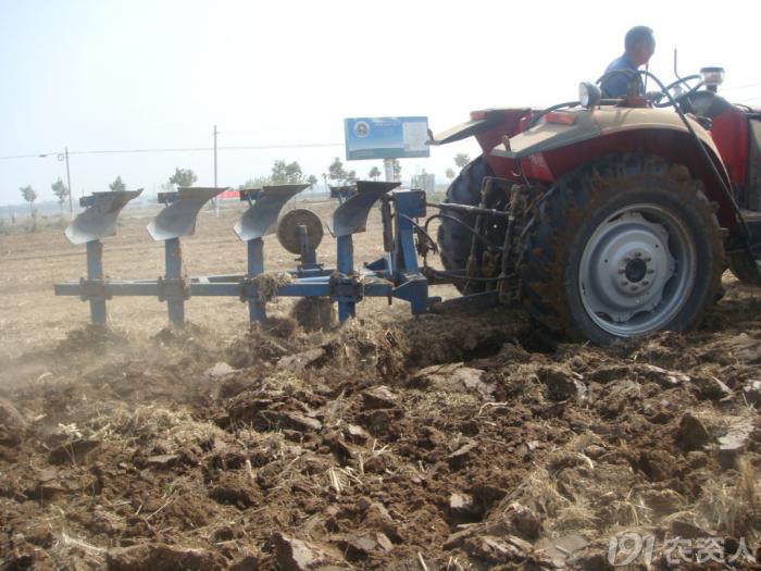 马铃薯组培苗栽培管理技术,马铃薯主要栽培技术