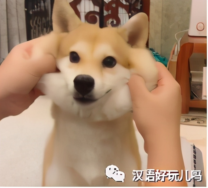 四川话会说不会写的字,会说不会写的四川话