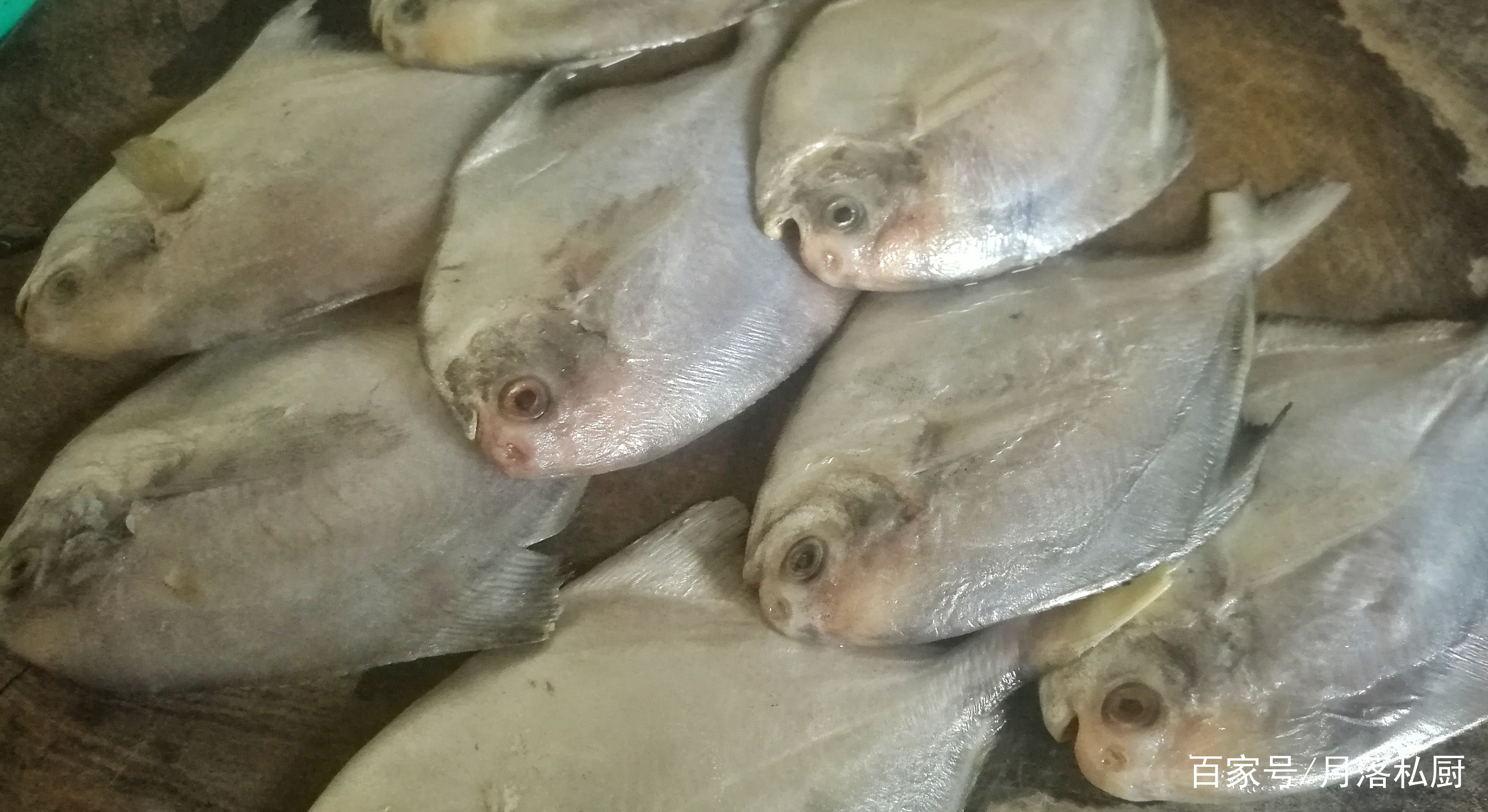 小鲳鱼怎么做好吃又简单清蒸,小宝宝吃清蒸小鲳鱼的家常做法