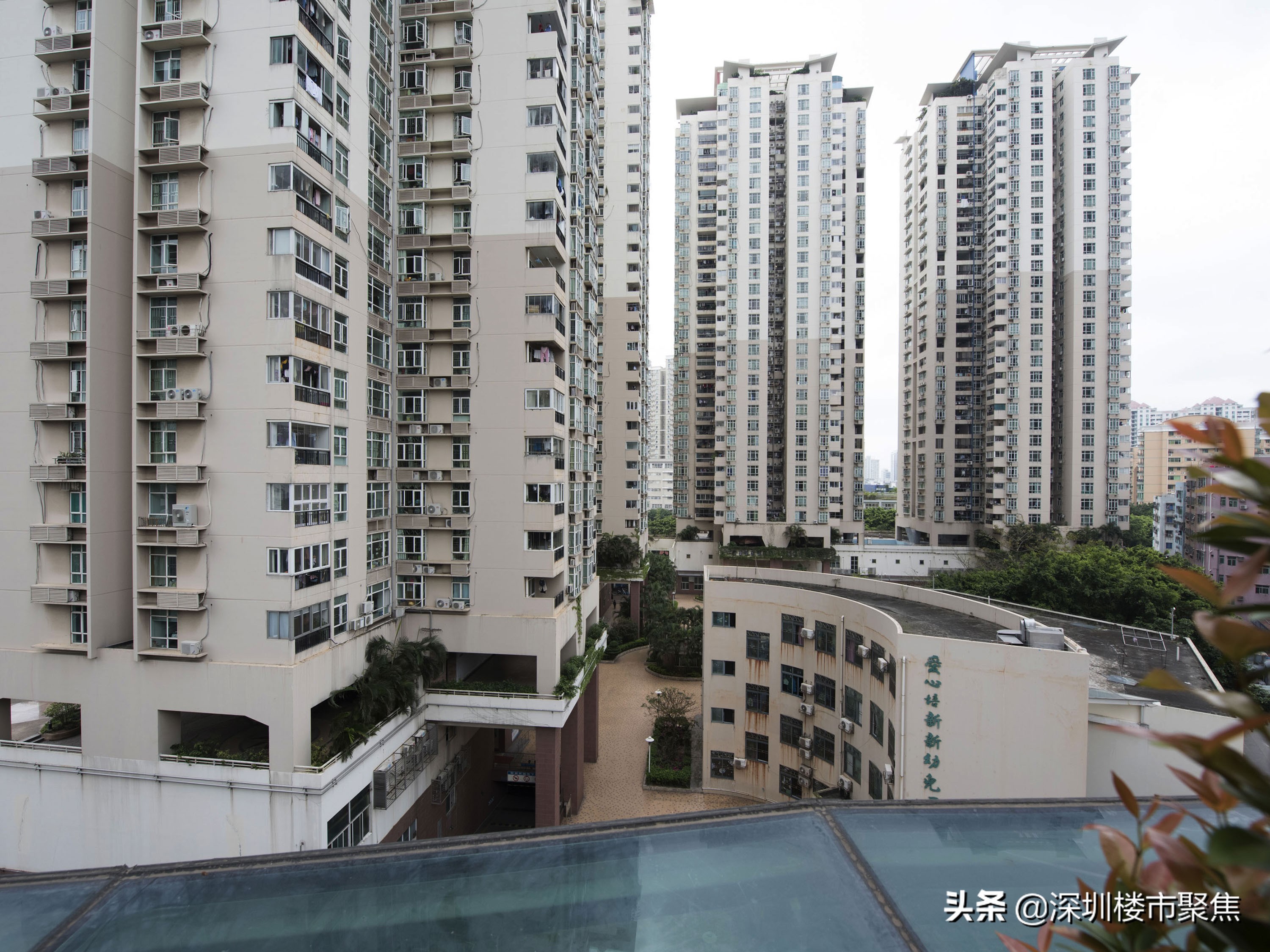 深圳红岭片区名校云集,深圳市十大名校红岭