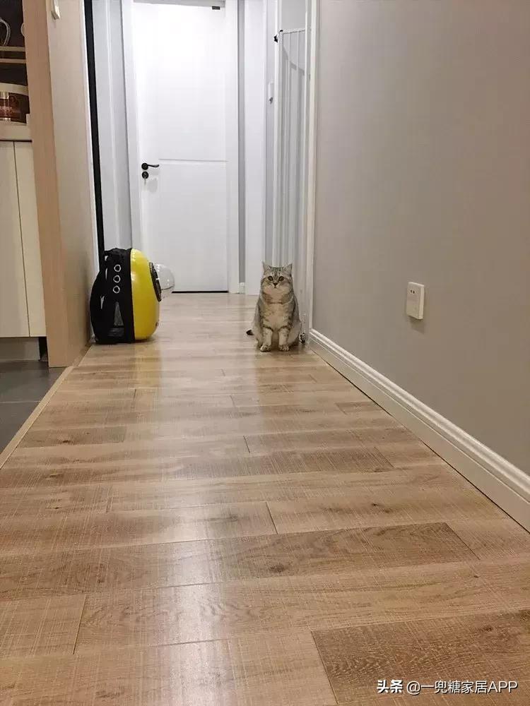 木地板怎么选和瓷砖好搭配,强化木地板好还是实木复合的好呀