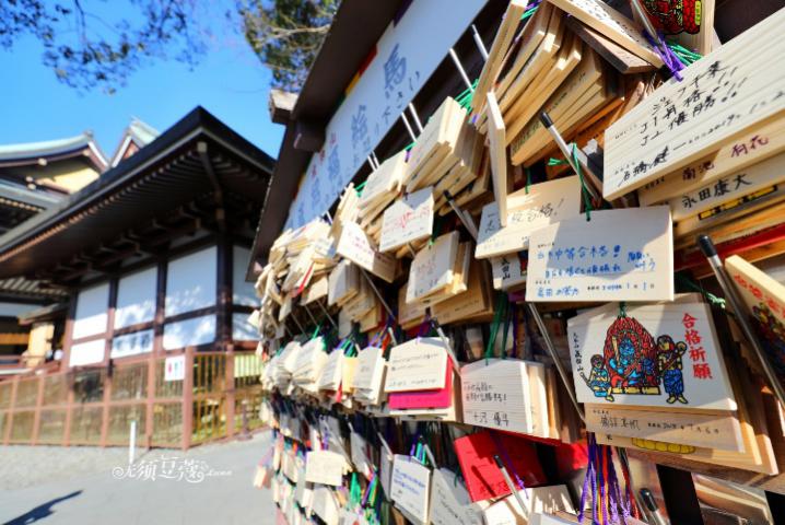 东京冬天附近游玩攻略,1月份的东京好去处