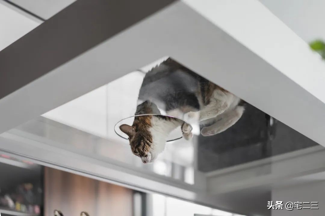 屡次获奖的设计团队,如何用6年诠释“有限制的不设限精神”?