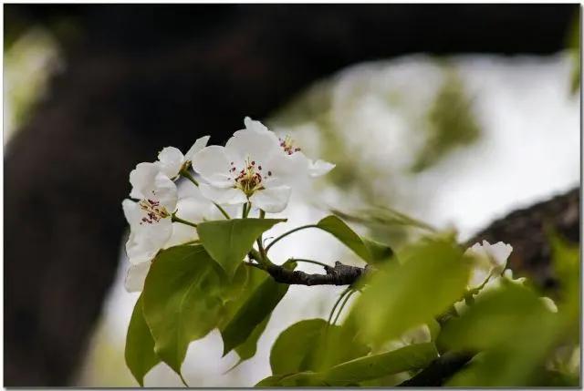 金堂十大景点排行榜,金堂景点排名榜前十