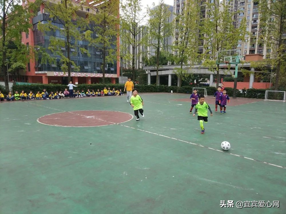 叙府实验小学：小荷尖尖一马当先