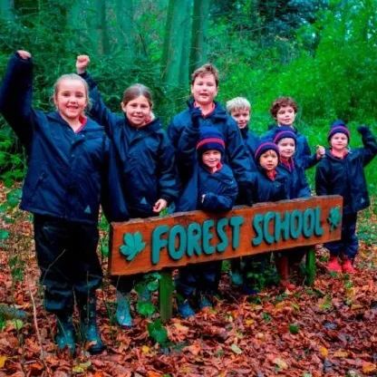 春日自然教育,春日茶语正能量