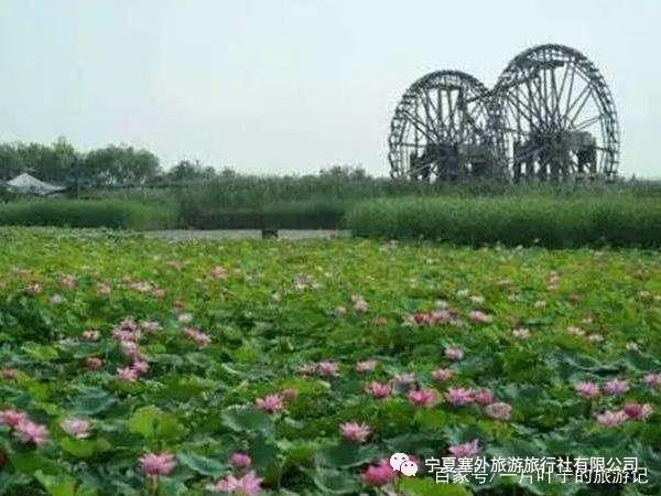 宁夏塞外旅游旅行社有限公司招聘,宁夏塞外旅游旅行社