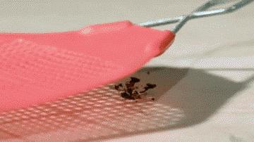 人的眼睛在动物界的水平,人的视力在动物界排名