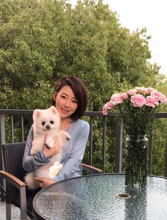 潘晓婷15米超长台球桌,星牌潘晓婷俱乐部款台球桌