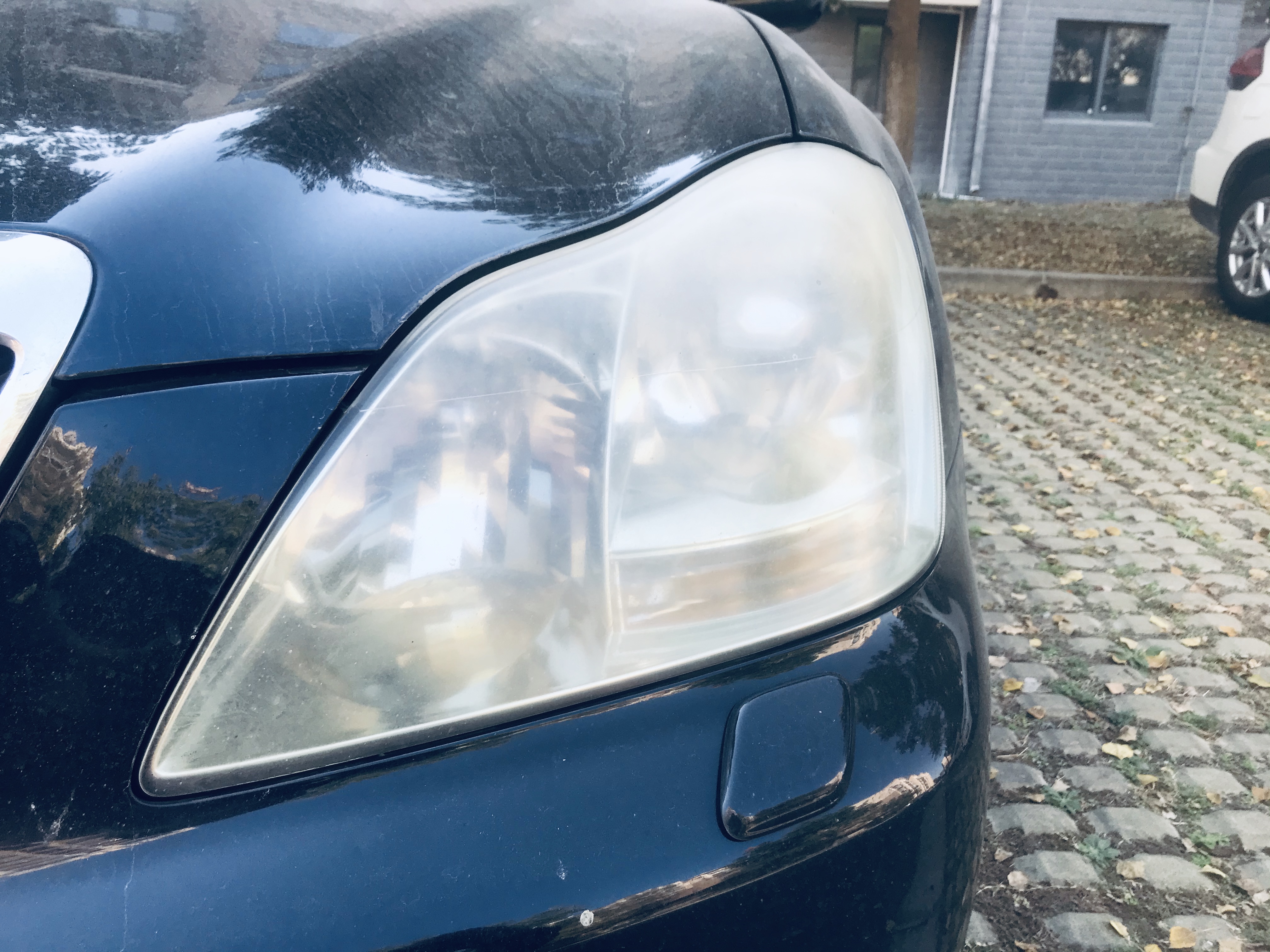 意外收获巨无霸,意外收获超级加倍名牌