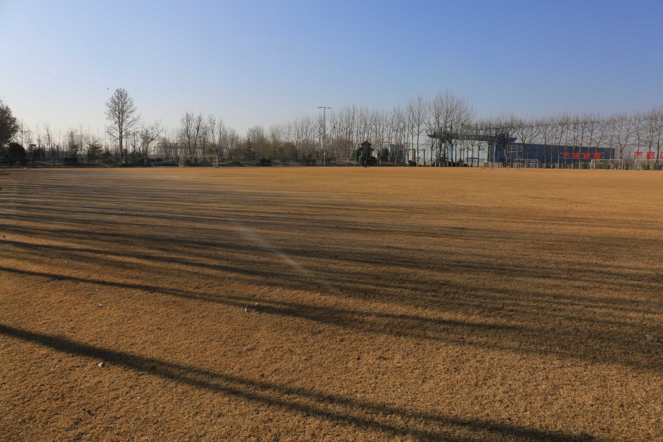 唐诗鲁能青训,恒大和鲁能青训