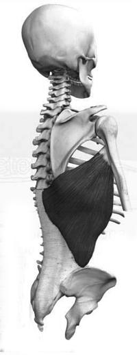 咋样正确放松关节,各个关节的放松