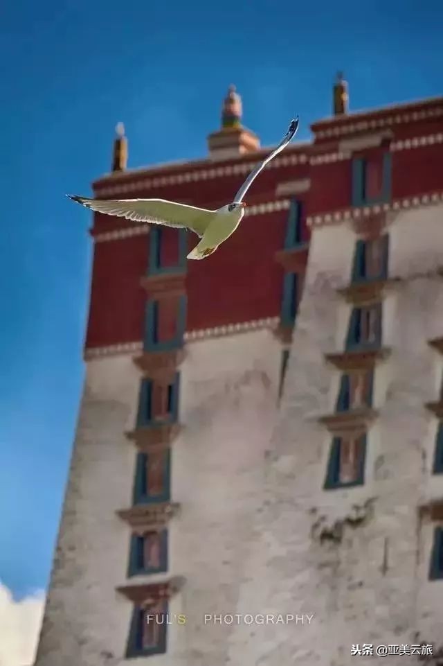 这个冬天邂逅西藏的美好时光 (冬天和爱人邂逅真正的西藏)