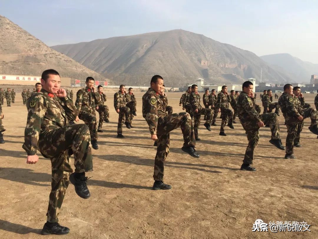 栽种历史1700多年，被称为“人参果”的西域圣果竟然是熟悉的它