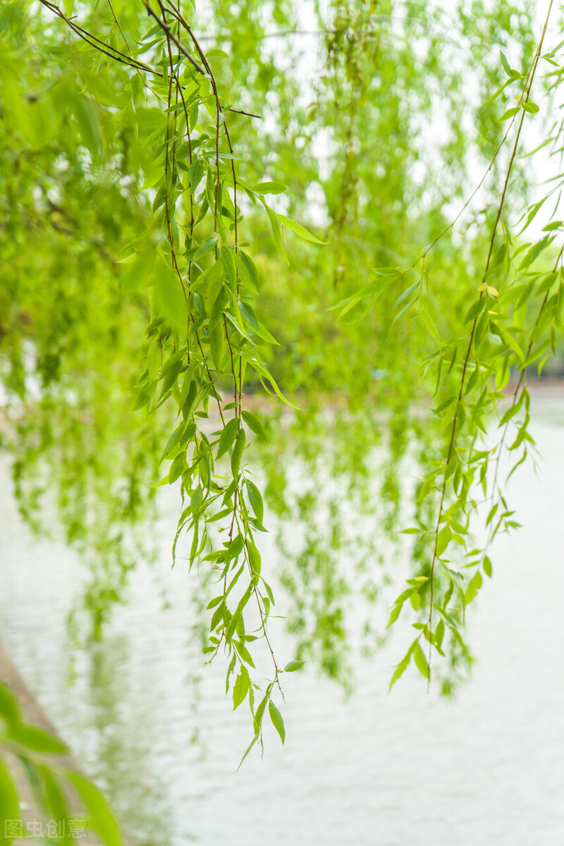 责任含义是什么,浅谈雇主责任