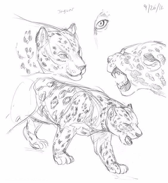 简笔画人物教程大全零基础成人,1000个适合零基础的简笔画教程