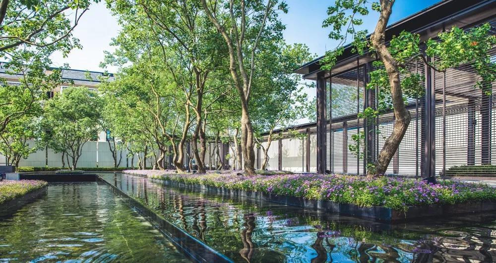 不敢相信特价房,不敢相信首付3万居然还能买到房