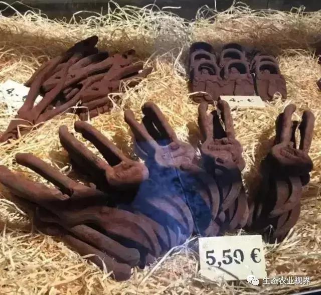 用一颗草莓吸引5百万游客,开5家主题乐园、4家超市、300个草莓屋