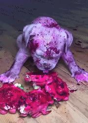 鎼炵瑧gif娈靛瓙濡瑰瓙浣犲お鐨簡,鎼炵瑧gif娈靛瓙濡瑰瓙鏈夌偣澶窐姘斾簡