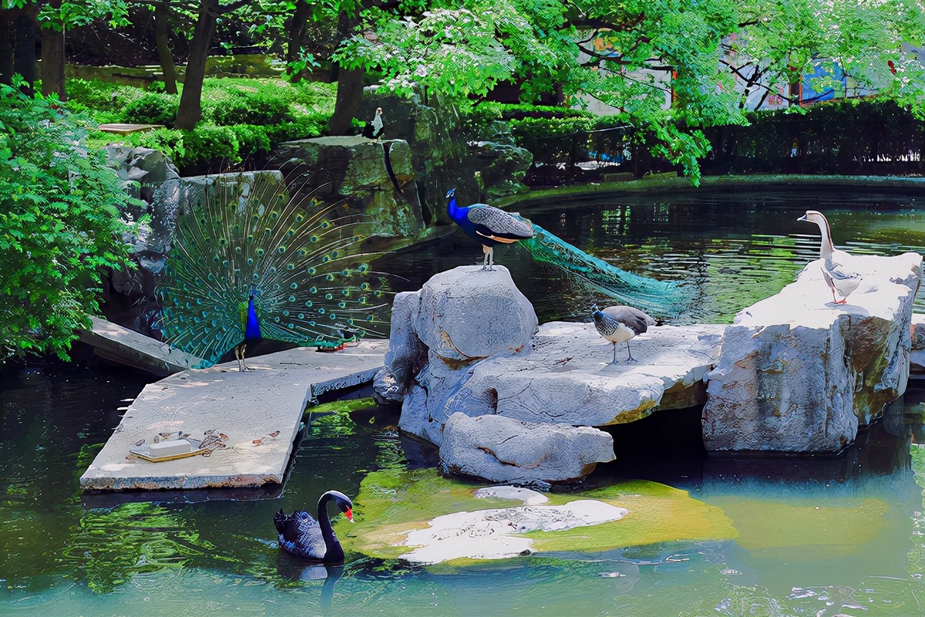 济南适合带娃去的公园,济南适合遛娃的景区