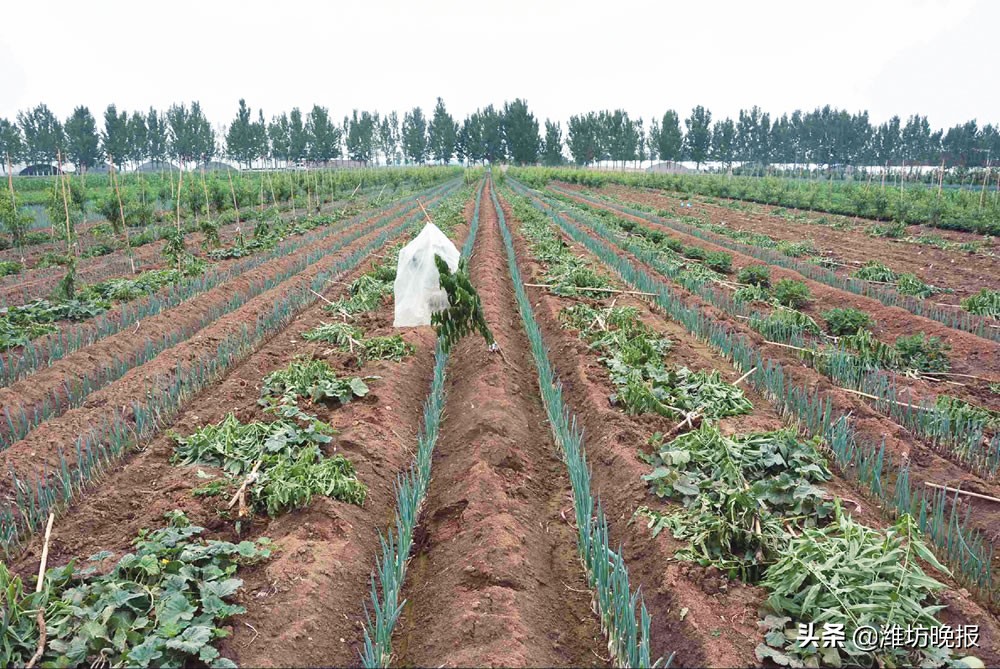 酒后冲动伤人会怎么样,酒后冲动后果