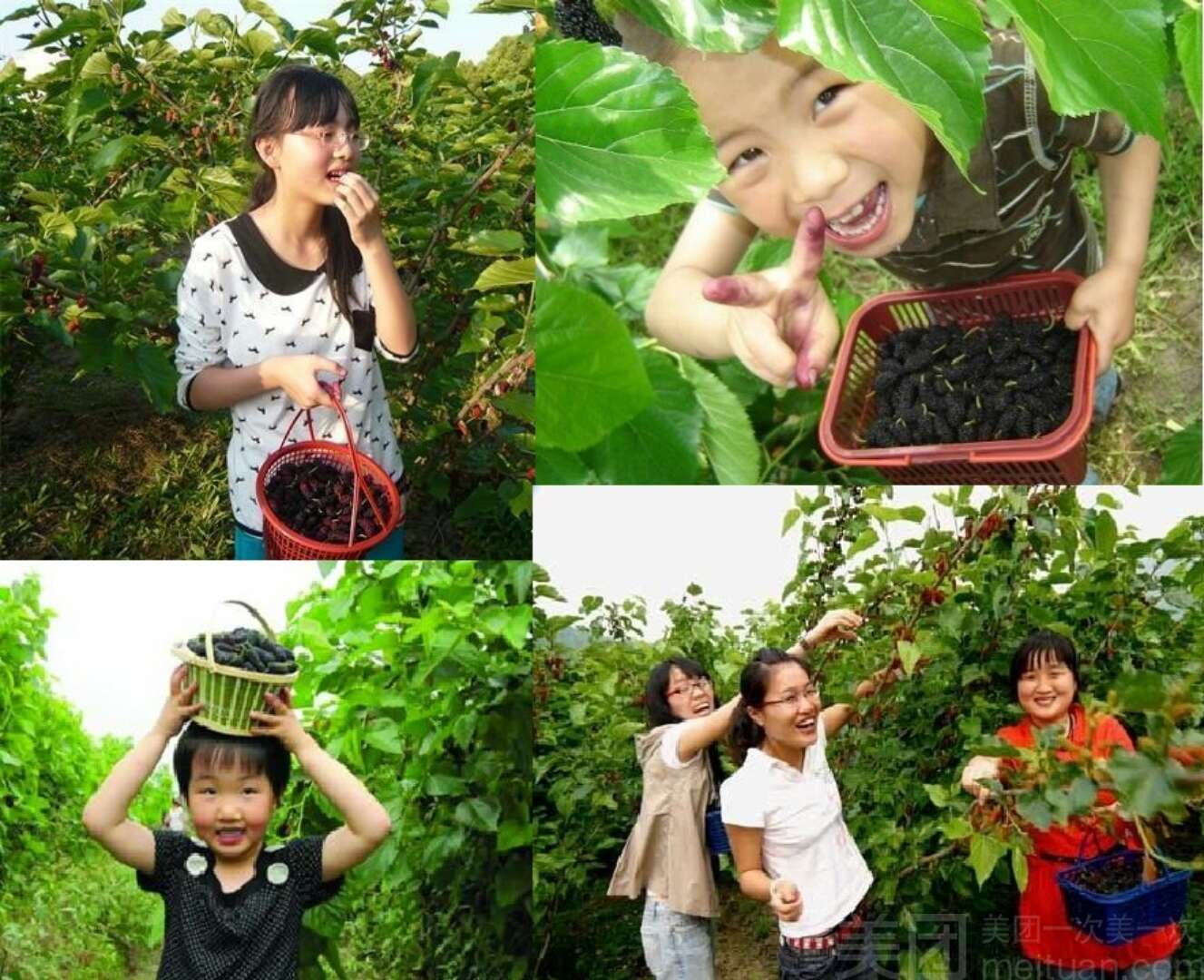 重庆大叔花40万建家庭生态农场，种菜养猪做农家乐，一年获利40万