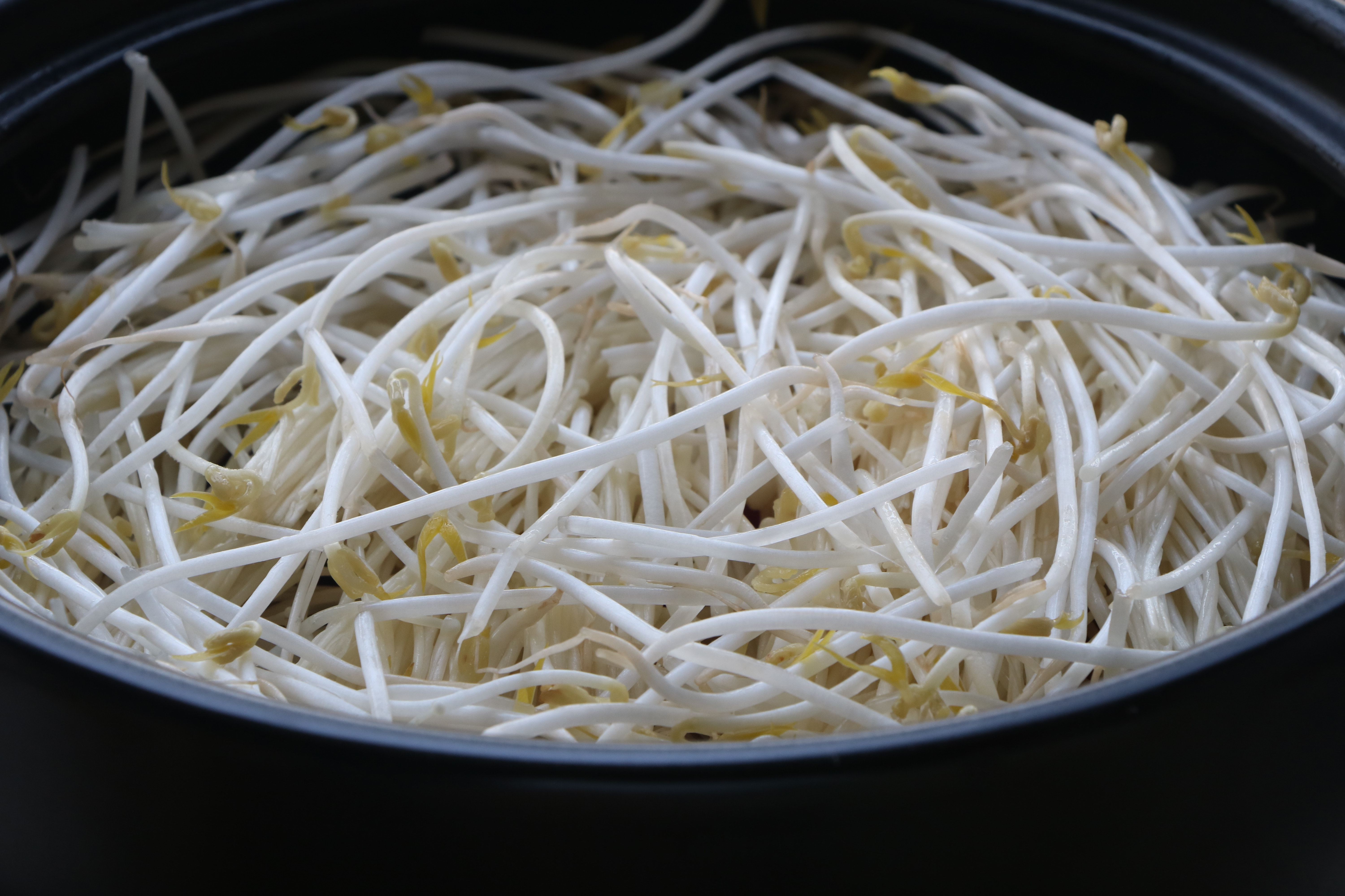 不加一滴水炖出来的草鱼又鲜又嫩,红烧草鱼的家常做法简单不做辣的