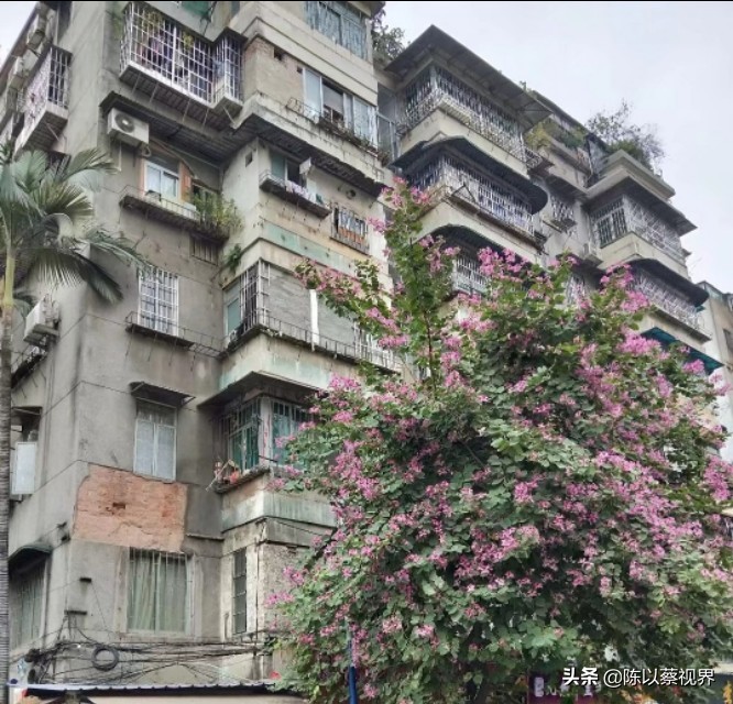 横滘村属于哪个区,广州市横滘村简介