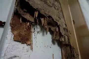 最近很多人吓得不敢开灯的视频,最近很多人被吓得不敢开灯的视频