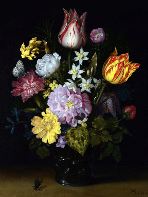 精美花图片大全,好看鲜花图片手绘