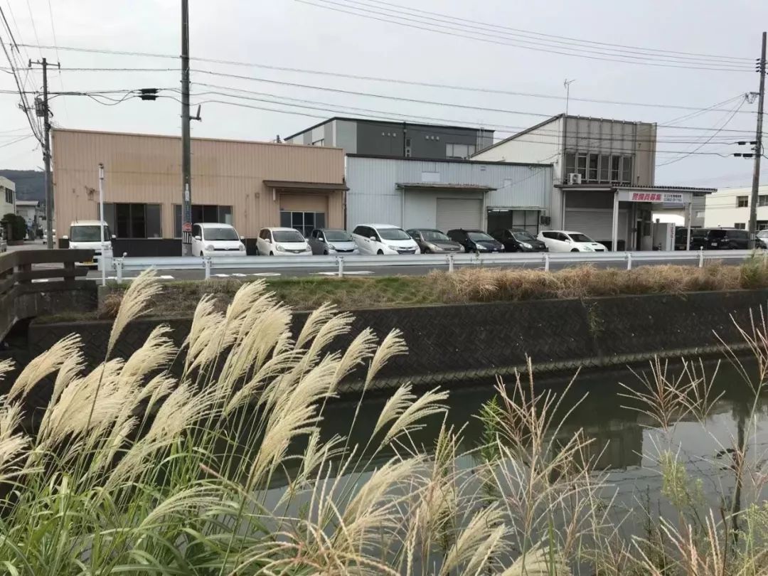 上海参加进博会企业,上海进博会日本