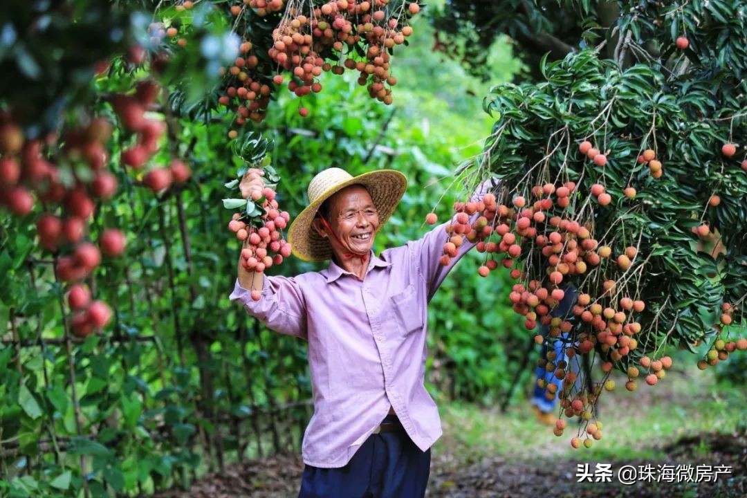 斗门地铁3号线最新规划,珠海斗门地铁3号线