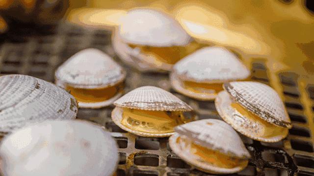 连云港旅游海鲜美食,连云港本地吃海鲜攻略速来看