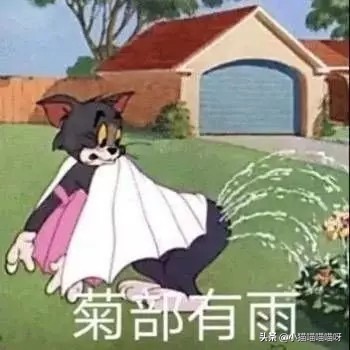 网恋居然网恋到兄弟的妈妈,没想到网恋对象竟是自己亲妈