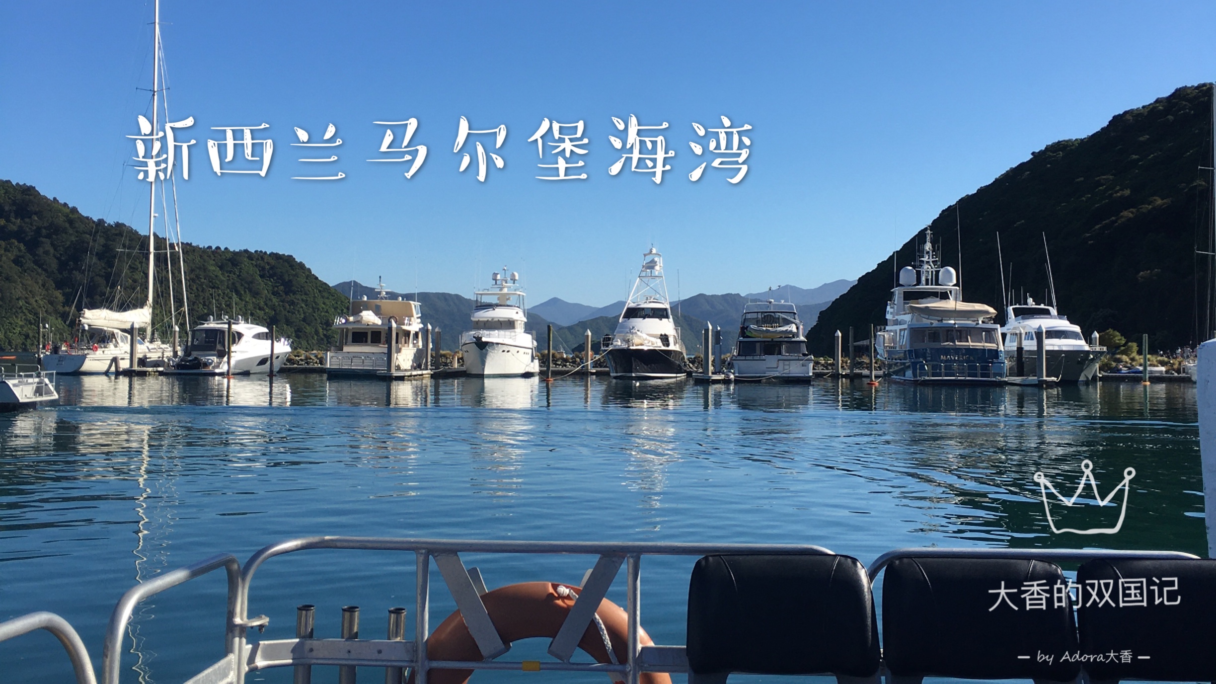 新西兰眼中的中国人,新西兰人看待中国学生