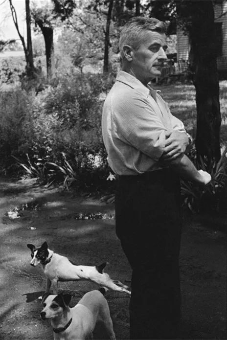 犬的记忆｜世界摄影经典