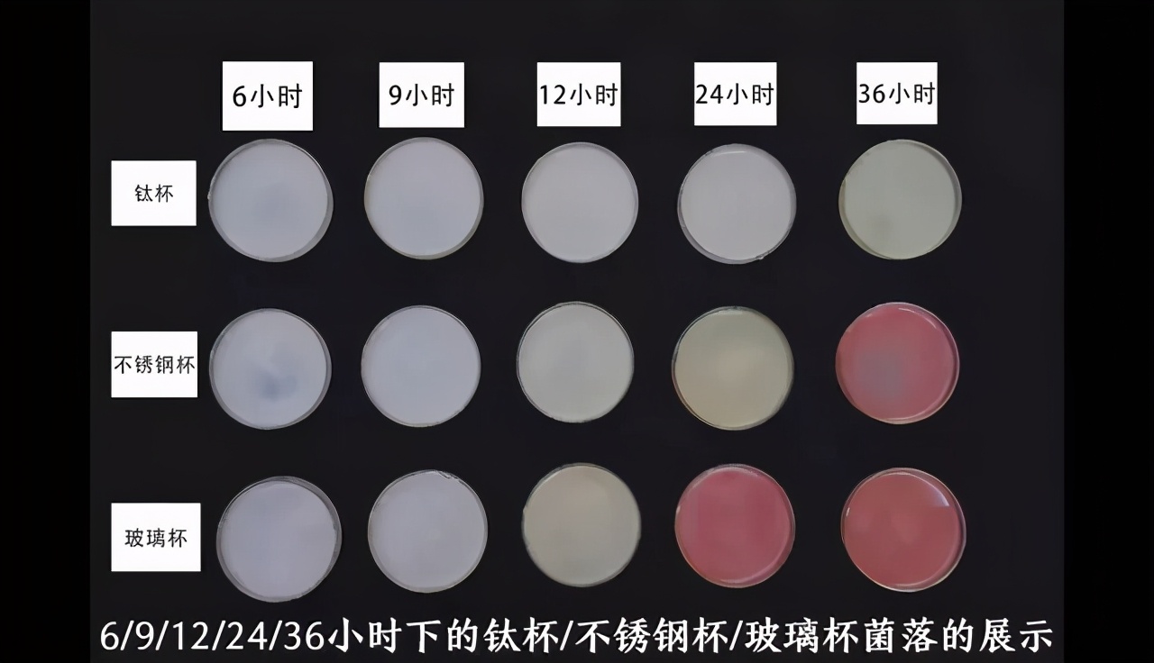 虎牌和膳魔师象印保温杯哪个更好,为什么虎牌象印没有316保温杯