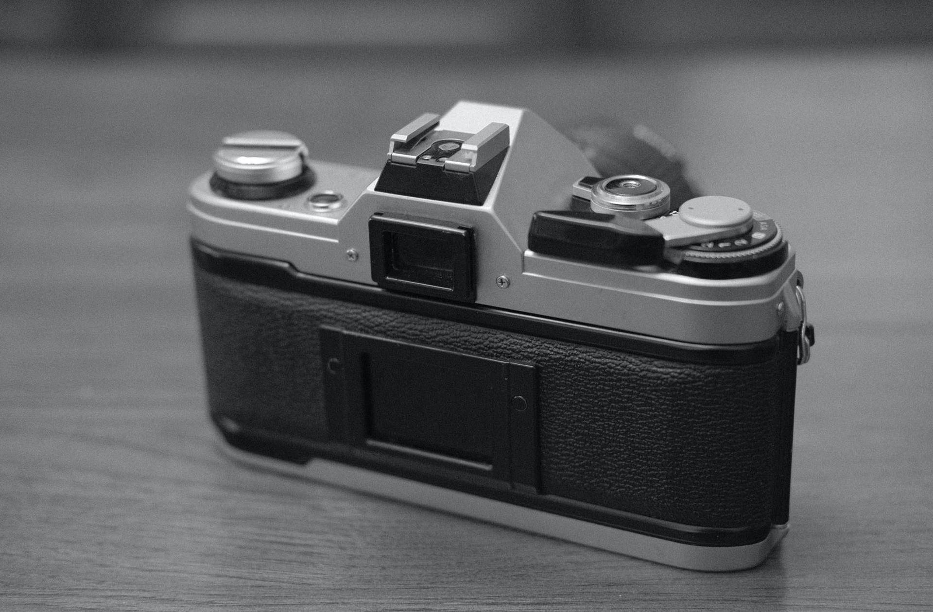 佳能体验,佳能ae1胶片机