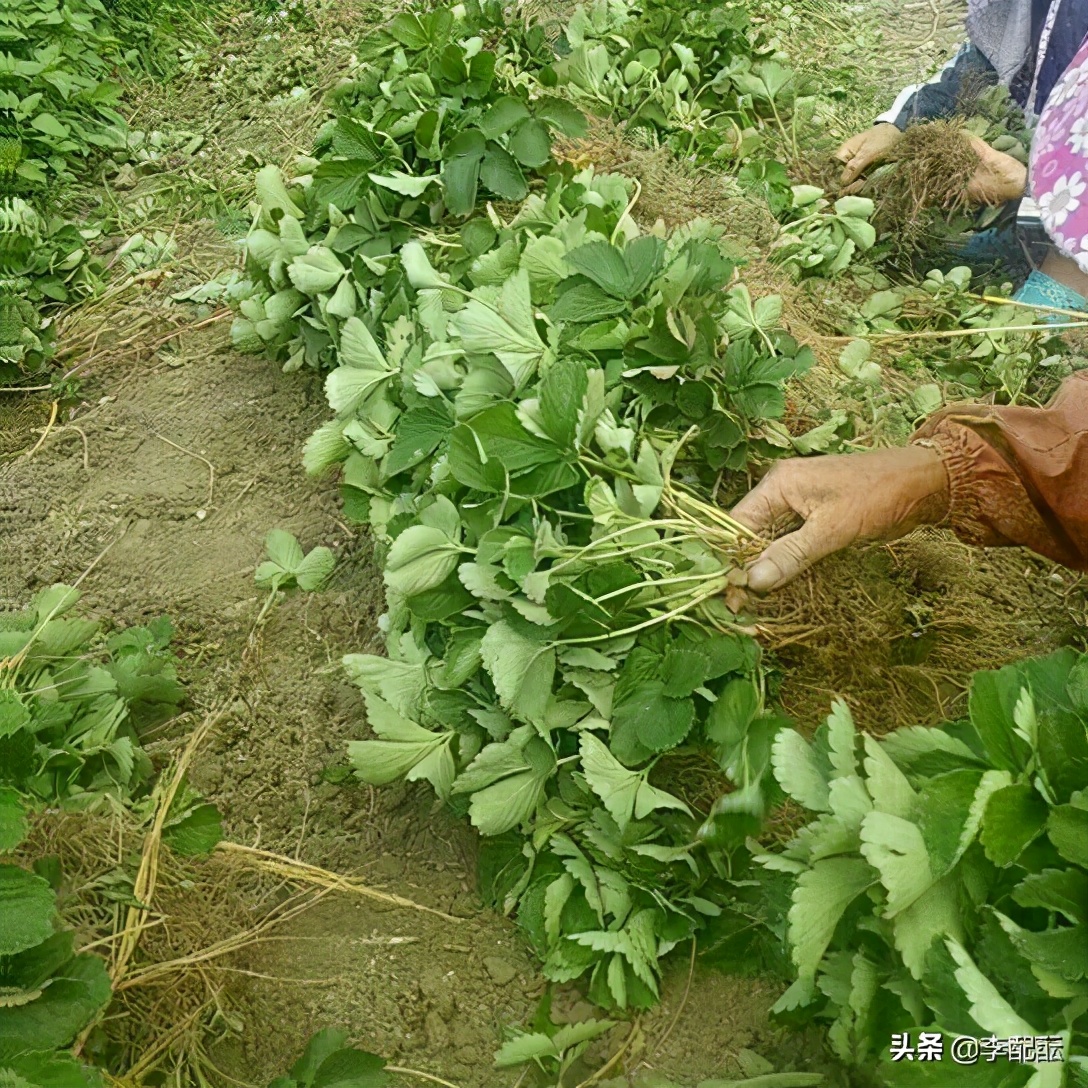 我相信，世界上有很多很多人，都是新伤叠着旧伤走过来的
