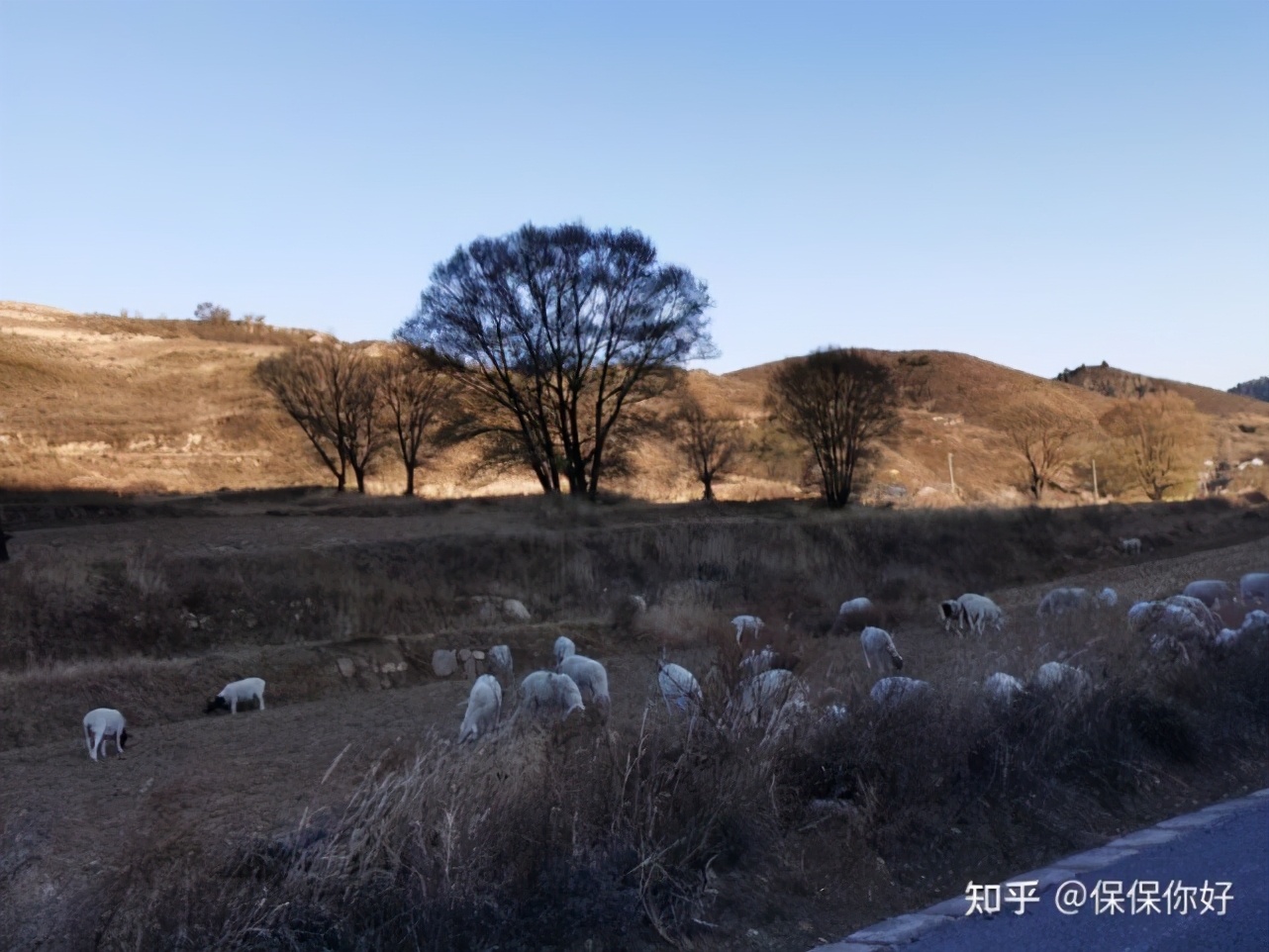 为啥选择做明亚保险经纪人,明亚保险经纪人如何收费