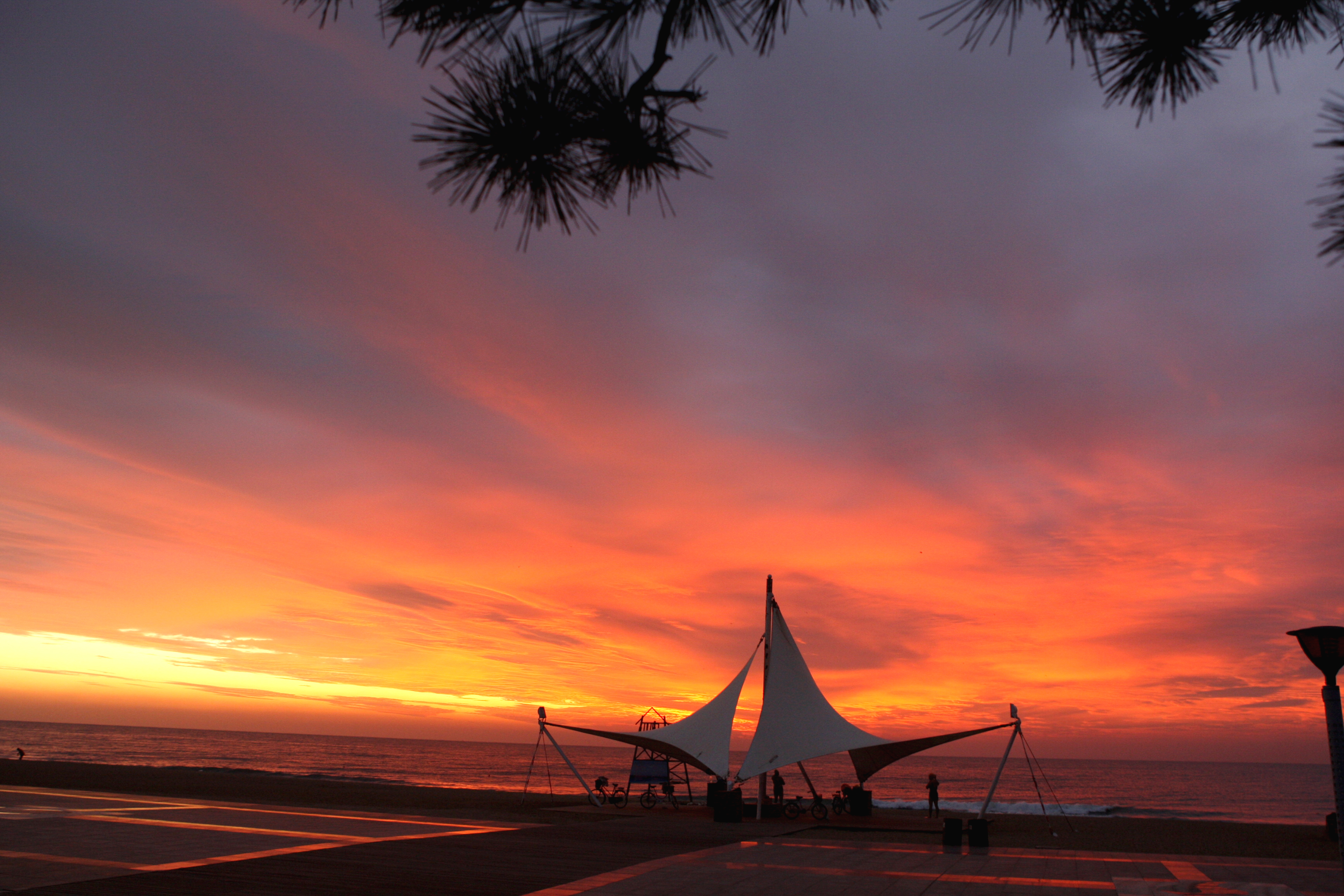 海滨度假推荐,海滨旅游休闲度假