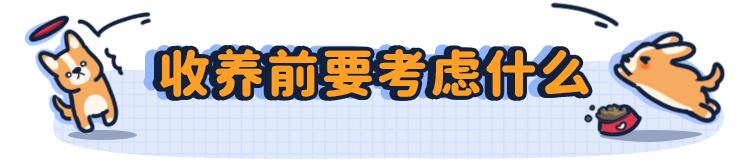 给狗喂吃的会咬你手吗,给狗喂饭要咬到手吗
