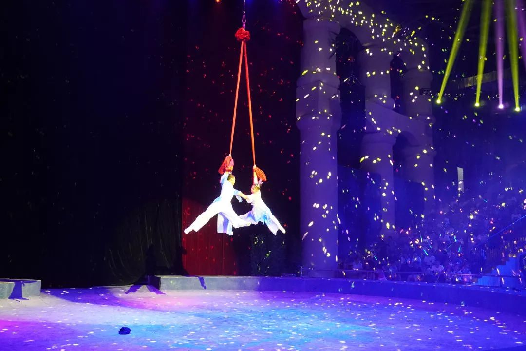 金牛湖野生动物王国过年去怎么样,金牛湖野生动物王国游玩时间