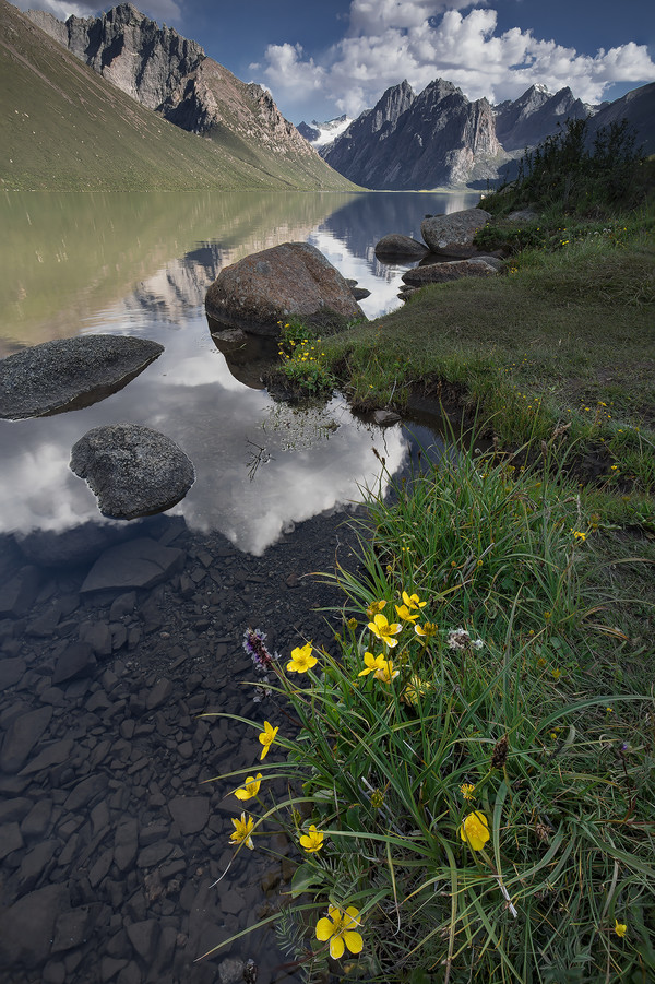 景深合成加全景拼接图,景深通道怎么合成图片