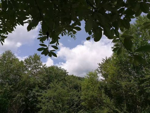 孕吐难受无计可施?准妈妈和胎宝宝都在经历哪些困境?