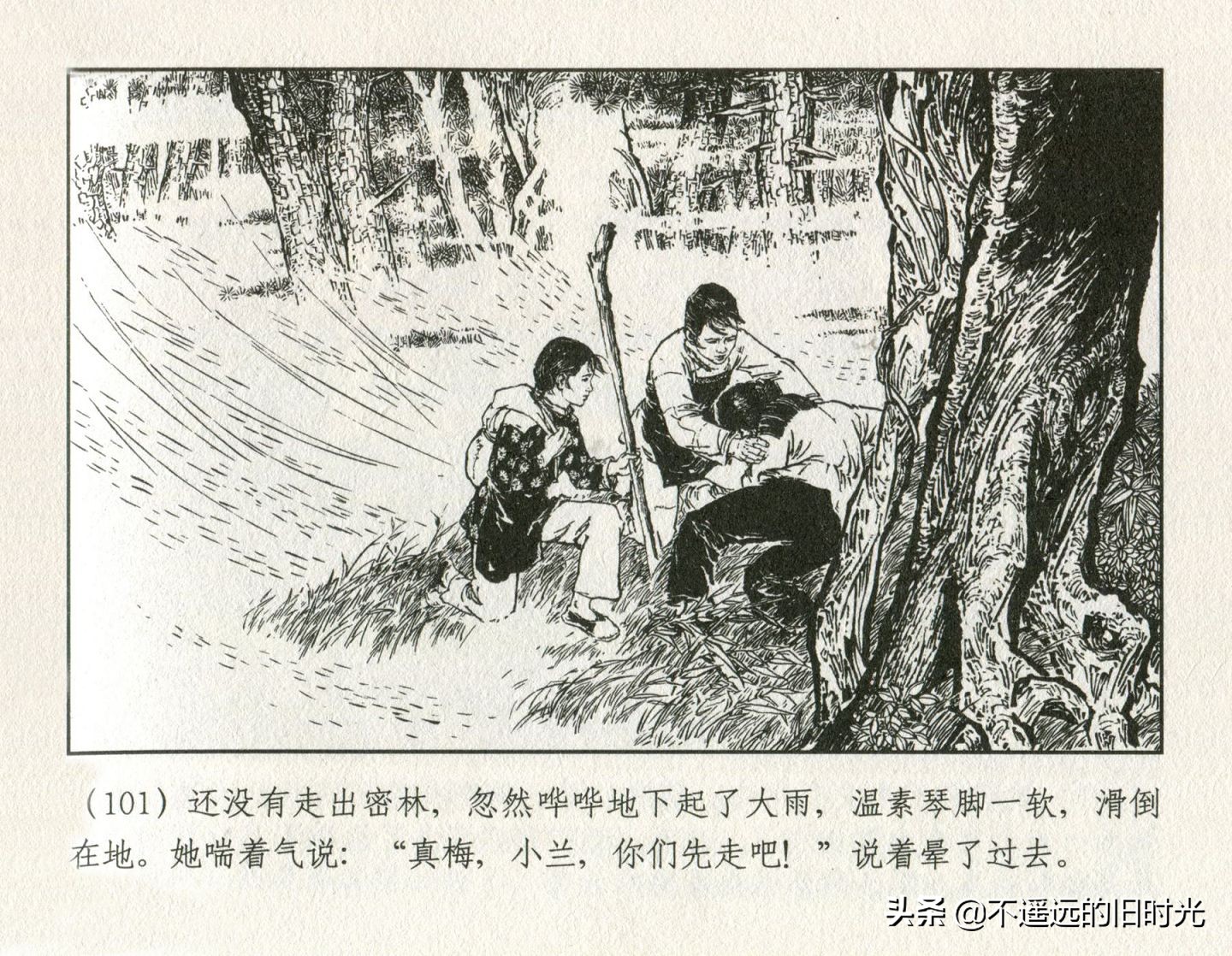 朝阳花-上海人民美术出版社1981初版2016再版陆成法陆小弟绘